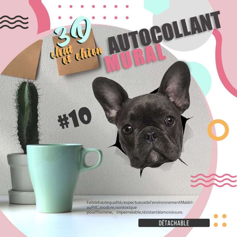 Vorschaubild 9