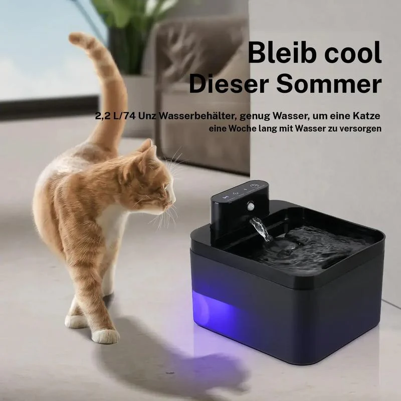 Vorschaubild 3