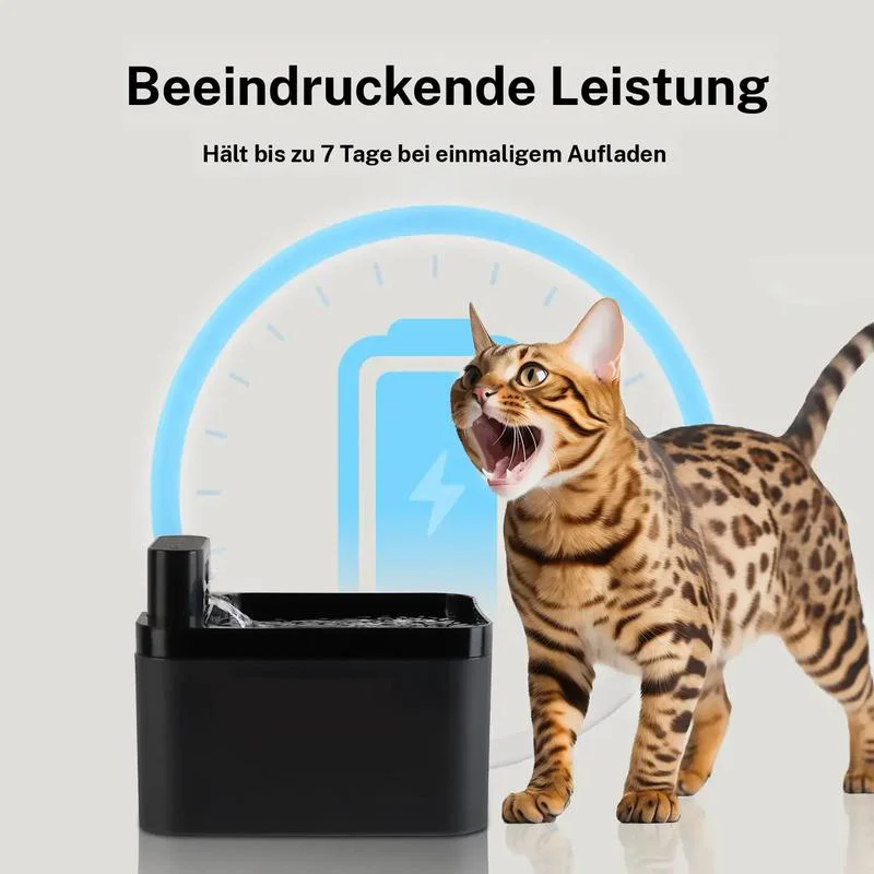Vorschaubild 5