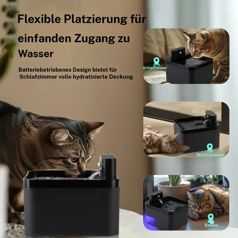 Vorschaubild 6