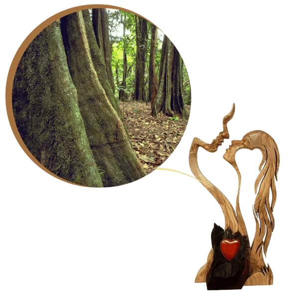 Vorschaubild 6