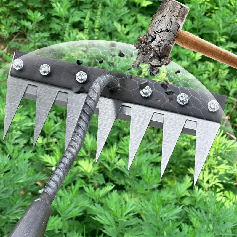 Vorschaubild 8